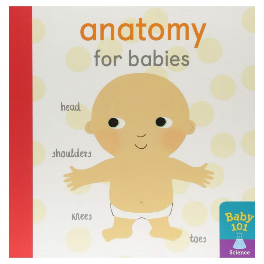 Anatomy For Babies