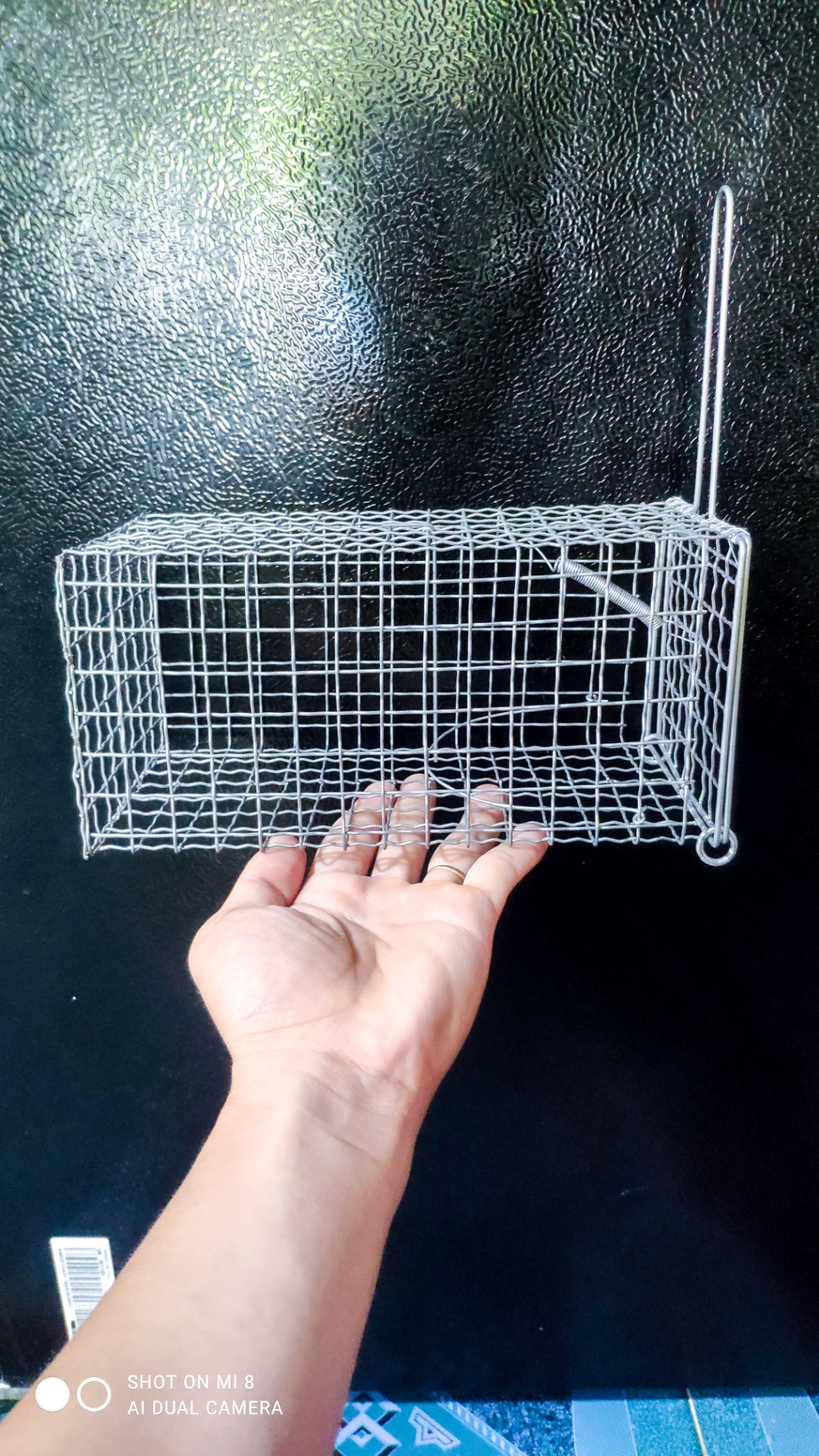 Combo 2 Bẫy Chuột Cống Nhum Loại 24x13x11 Có Khoen Chống Sẩy