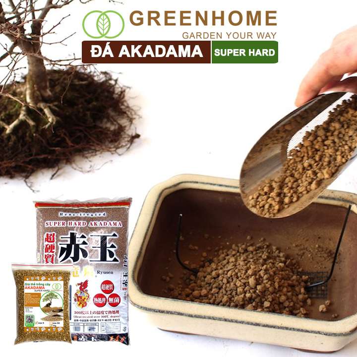 Đá Akadama, loại siêu cứng, làm đất, phân nền thủy sinh, bonsai, sen đá, nhiều size lựa chọn |Greenhome