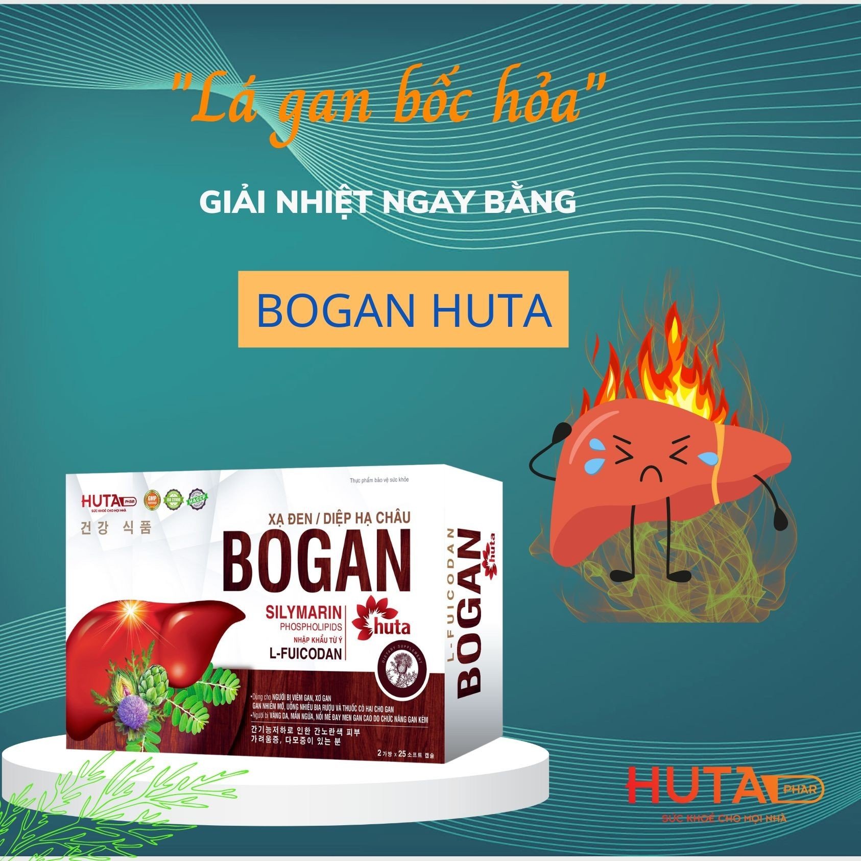 Bổ gan Huta _ bổ sung thành phần L-fucoidan 60% hỗ trợ tăng cường chức năng gan
