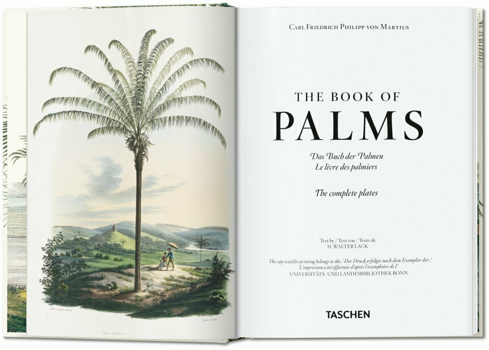 Martius. The Book of Palms. 40th Ed