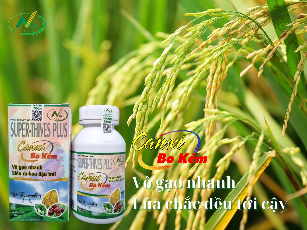Bộ sản phẩm giúp LÚA TRỔ ĐỀU, CHỐNG LẸP XẸP hiệu quả và tiết kiệm chi phí