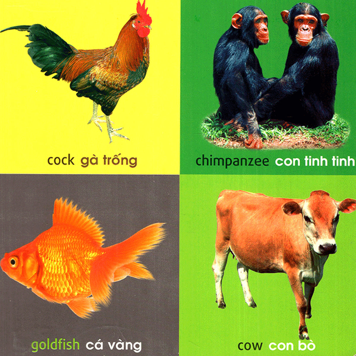 101 First Words – Animals (101 Từ Đầu Tiên – Động Vật) _ML
