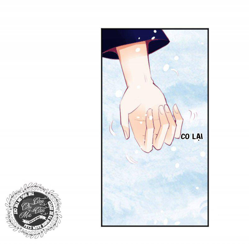 the queen note chapter 5 4