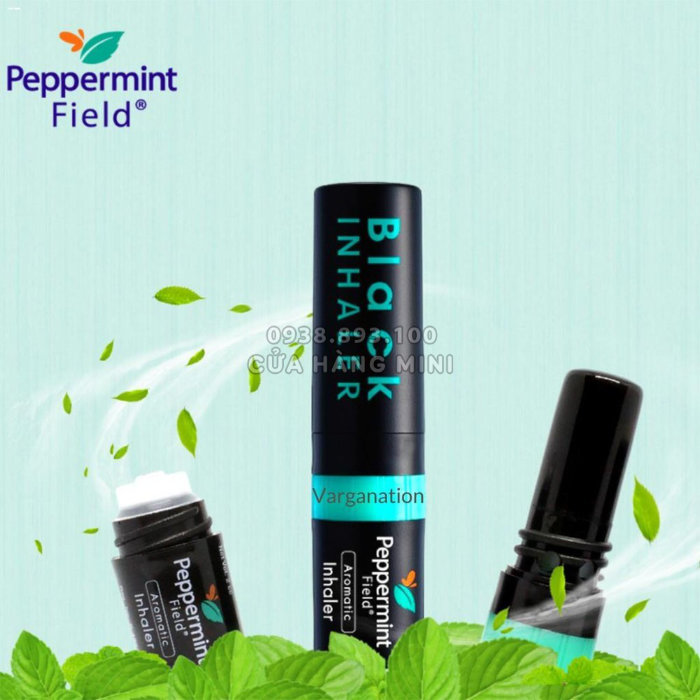 Dầu Hít Đen 2 Đầu Black Inhaler Peppermint Thái Lan