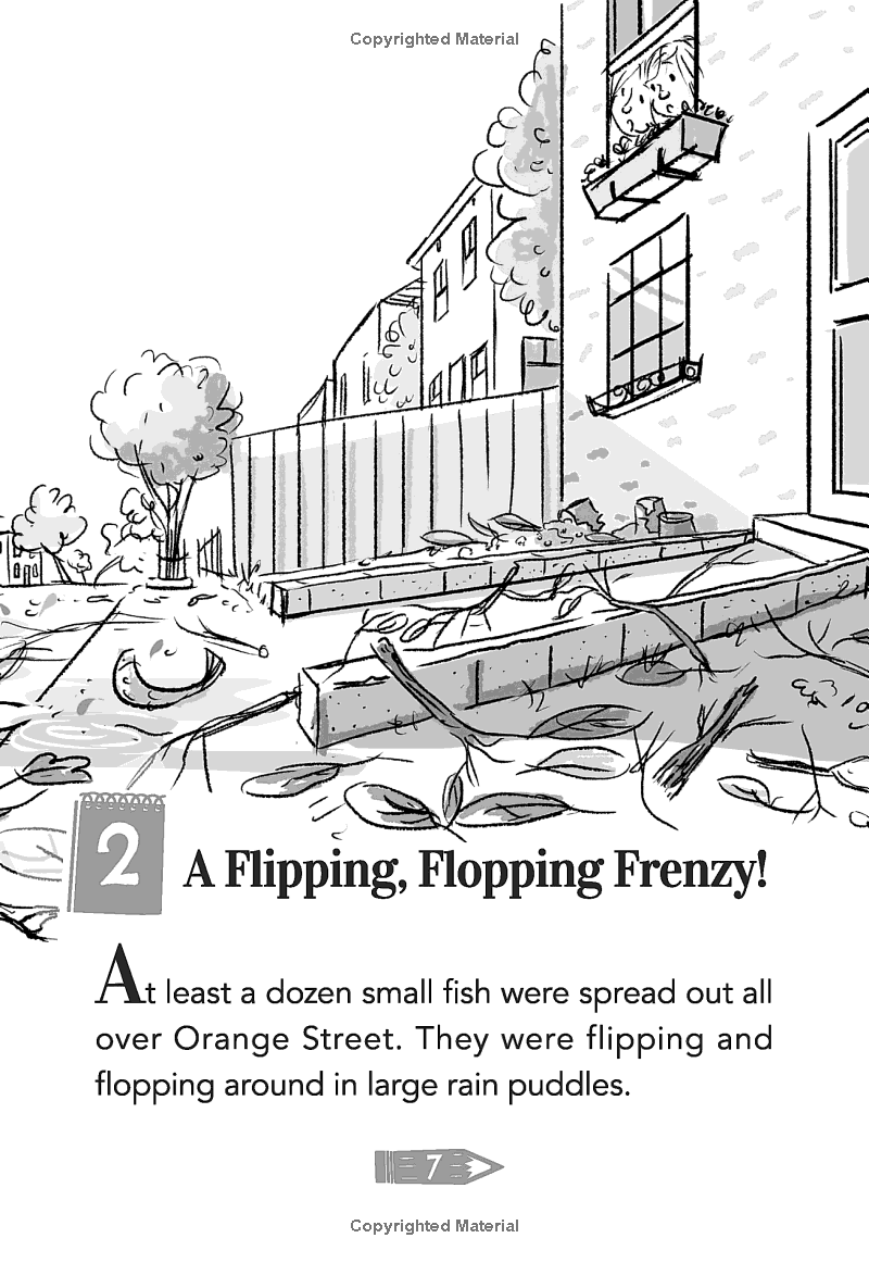 Sách ngoại văn: Hilde Cracks The Case - Book 5 - Tornado Hits!