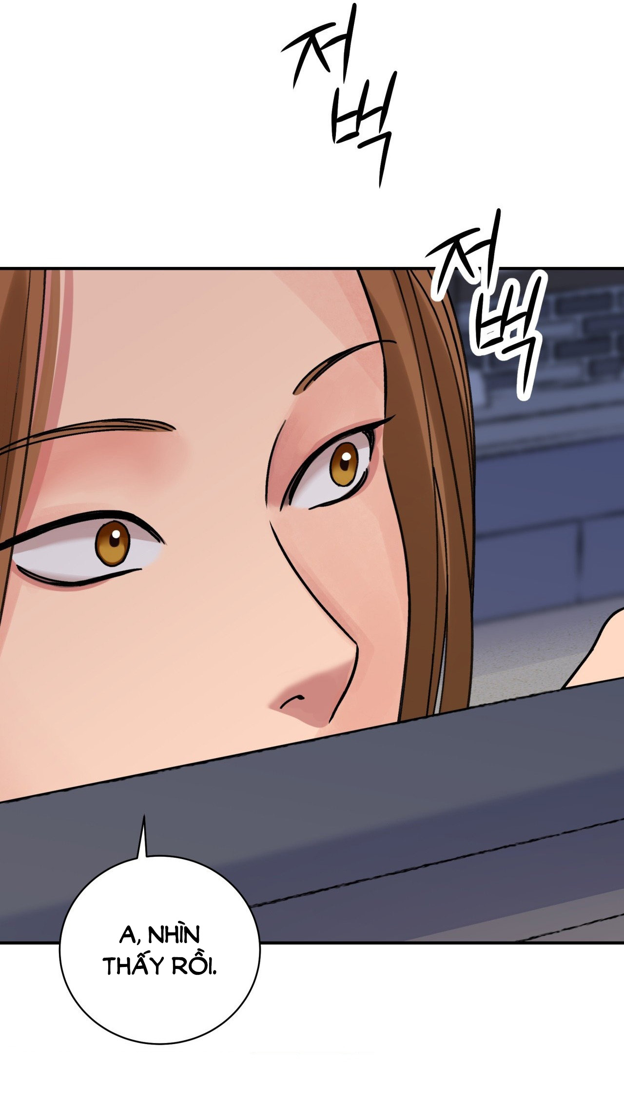 [18+] trượng kiếm tựa hoa chapter 51.2 23