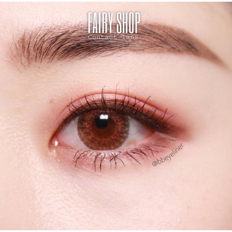 Áp Tròng Cao Cấp Wannabe Brown C301  14.0mm - Kính Áp Tròng FAIRY SHOP CONTACT LENS độ 0 đến 6