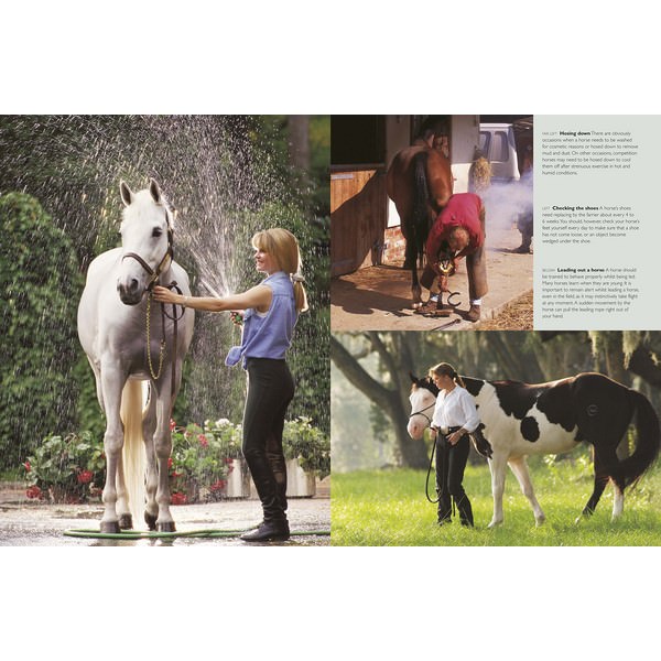 Complete Horse Care Manual