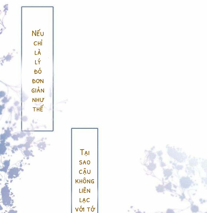 nỗi buồn của hoa cẩm tú cầu chapter 14 8