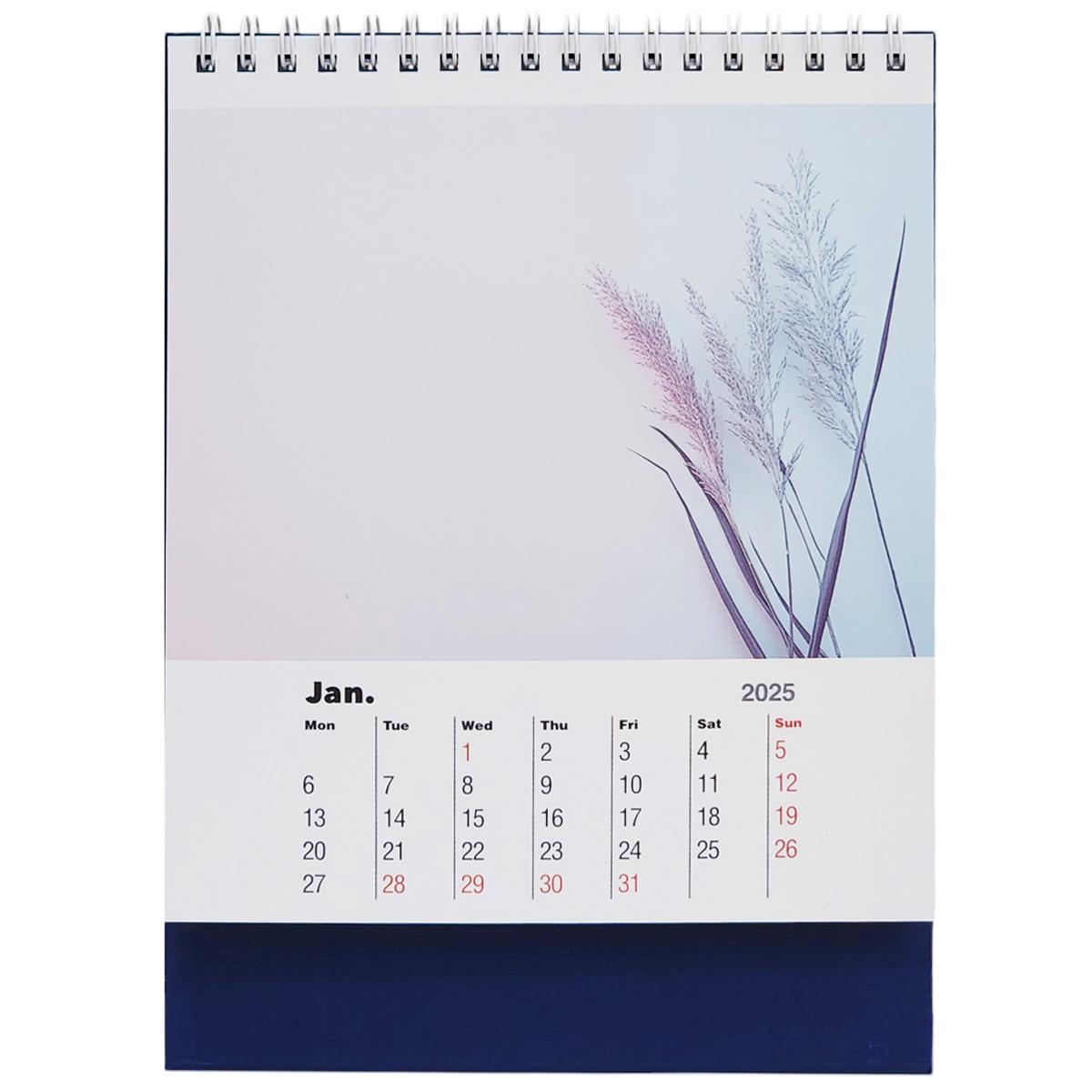 Lịch Bàn Chữ A 2025 - Pastel Minimalist - 2025-FABI-XNI