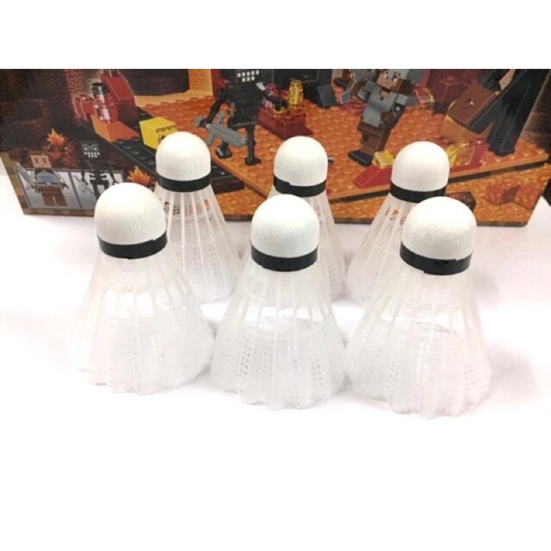 Vợt và cầu lông