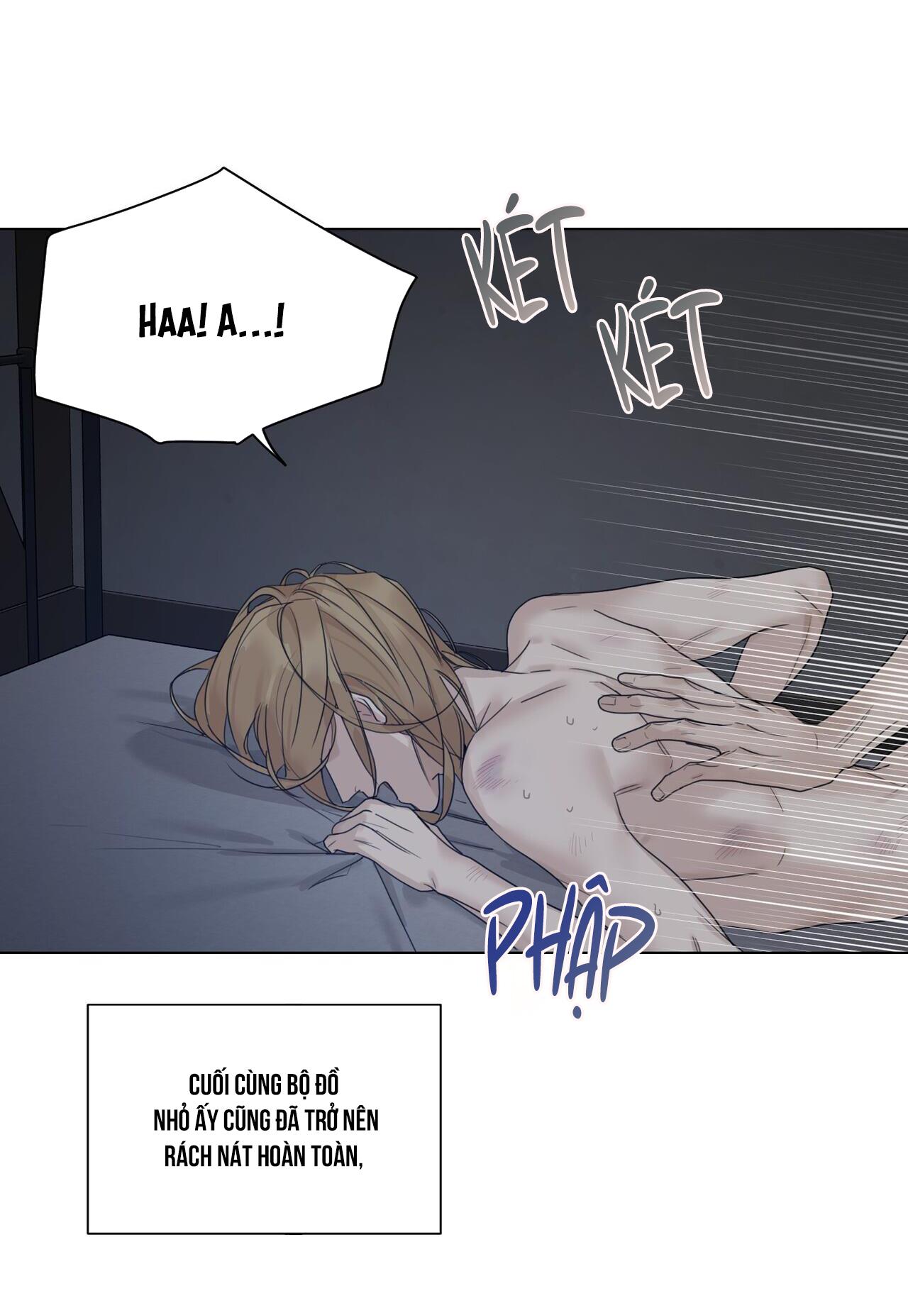 bước vào vườn hồng chapter 11 12