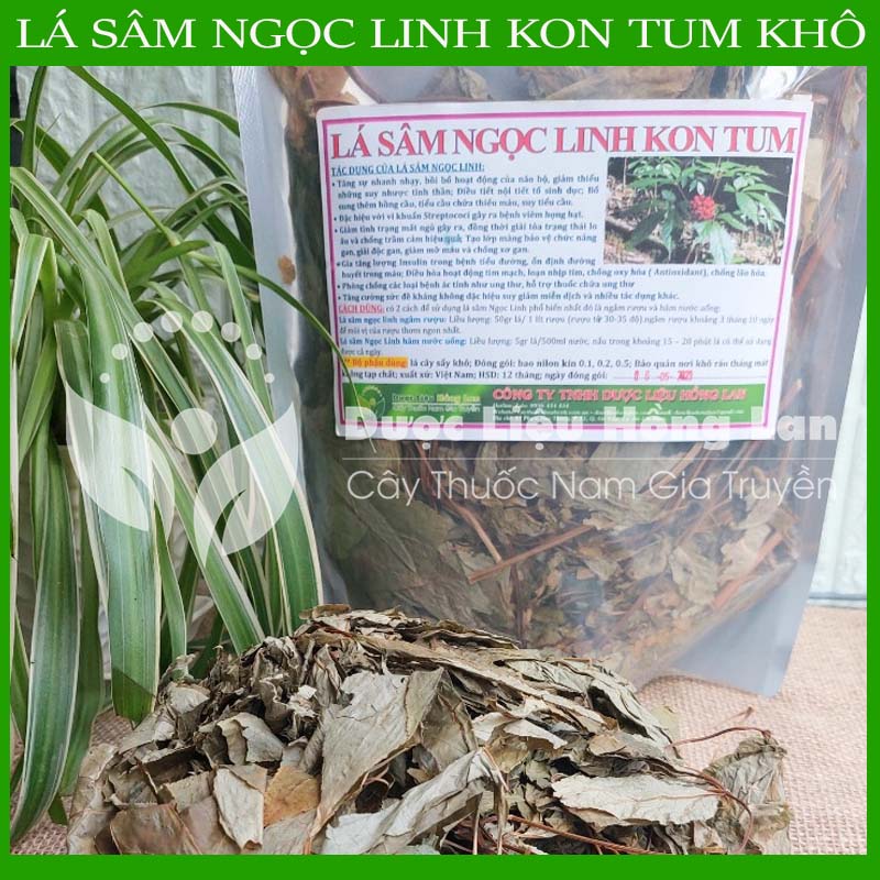 [THƯỢNG HẠNG] 100G Lá Sâm Ngọc Linh Kon Tum sấy khô nguyên chất loại 1