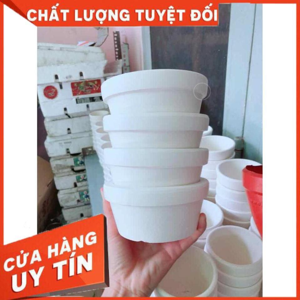 Chậu đất nung trồng cây Nhiều Người Mua