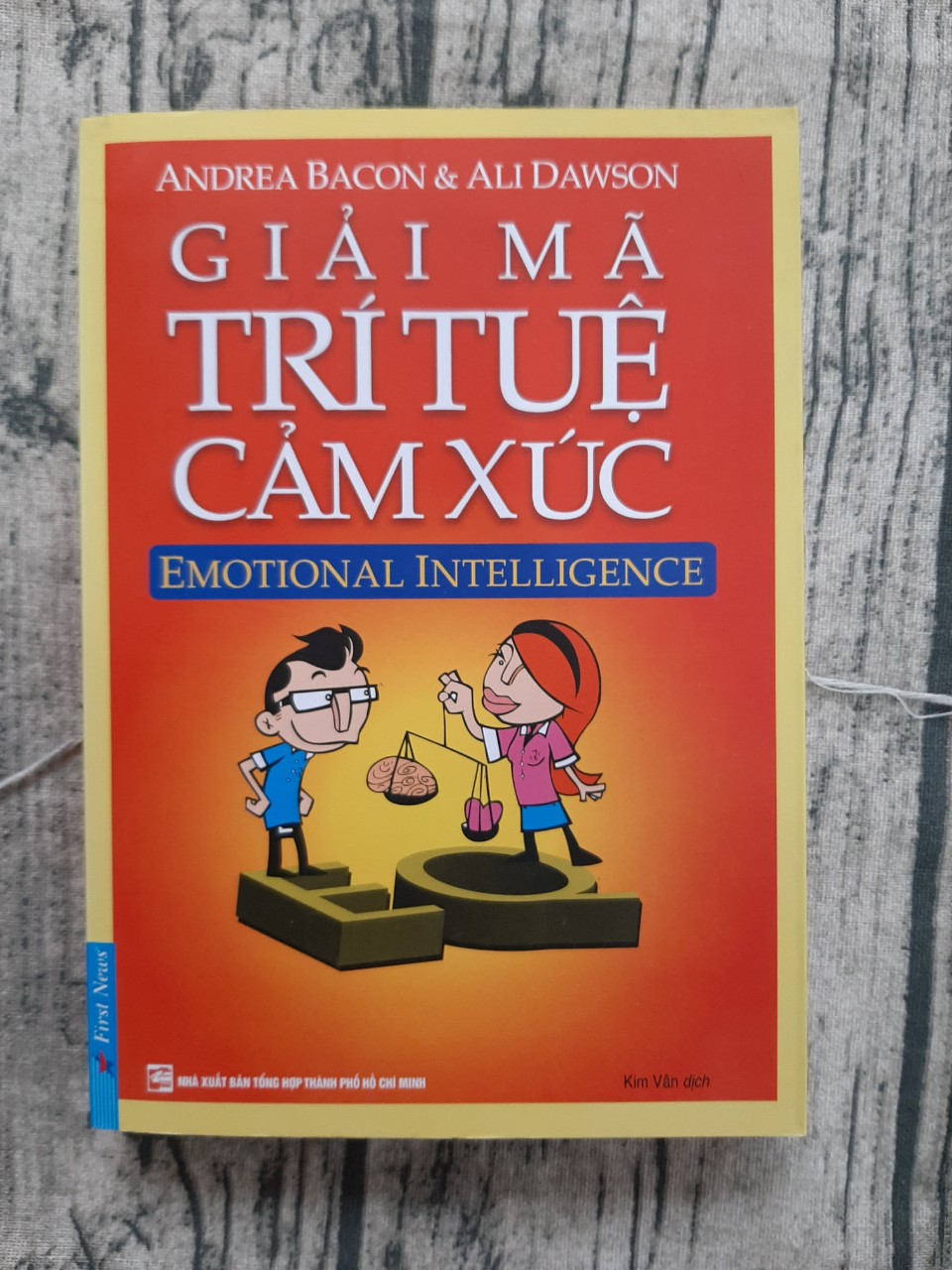 Giải Mã Trí Tuệ Cảm Xúc