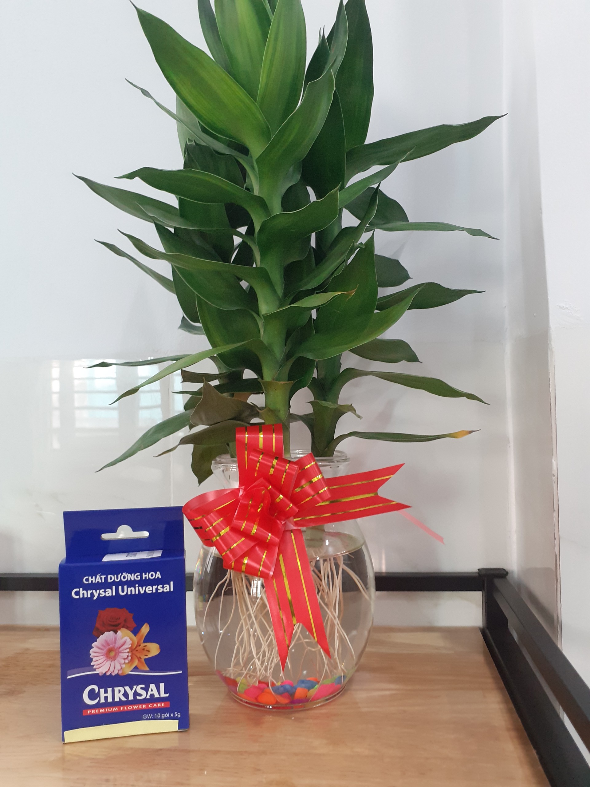 Hộp 10 gói Chất Dưỡng Hoa Chrysal UNI.