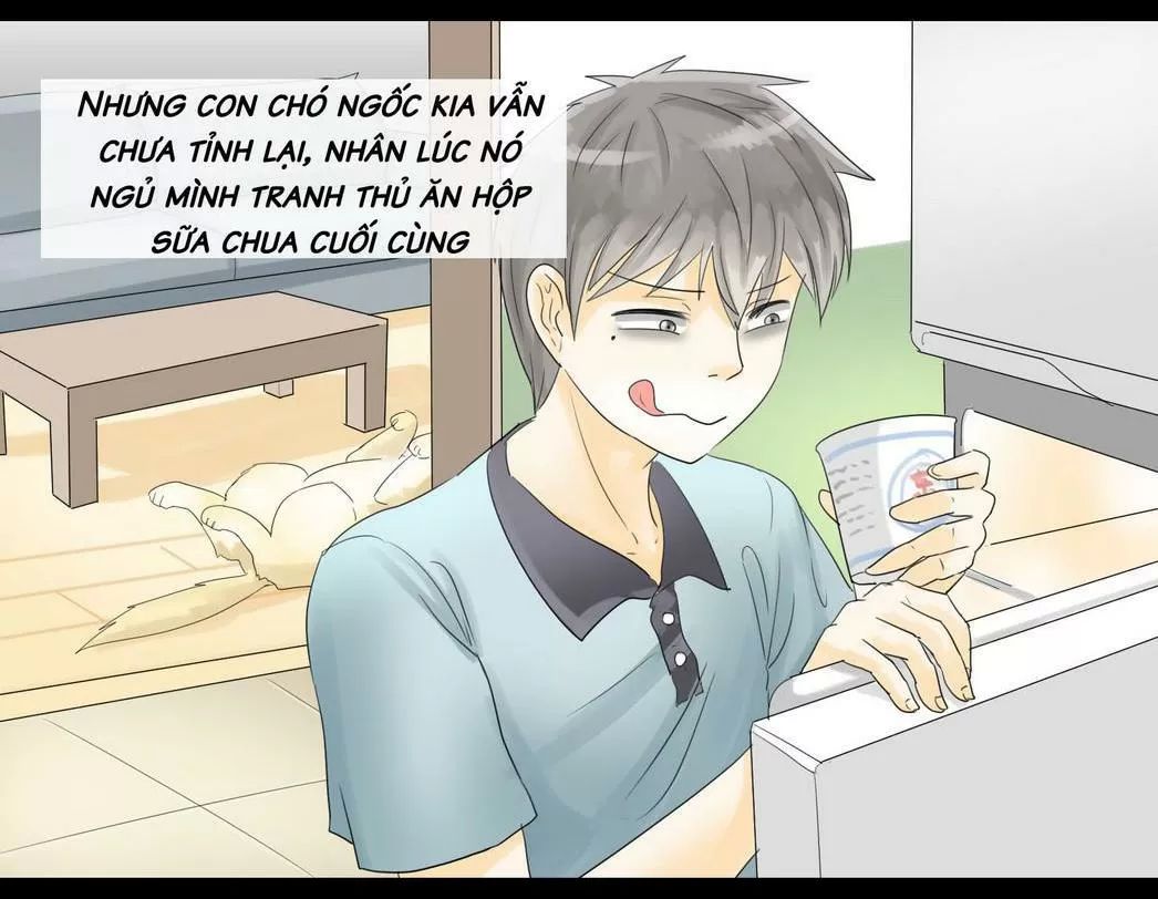 một con chó chapter 48 3