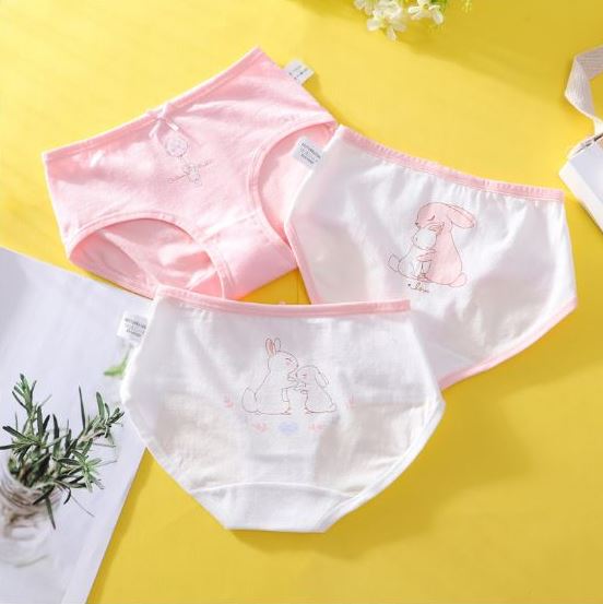 Set 6 quần lót tam giác bé gái