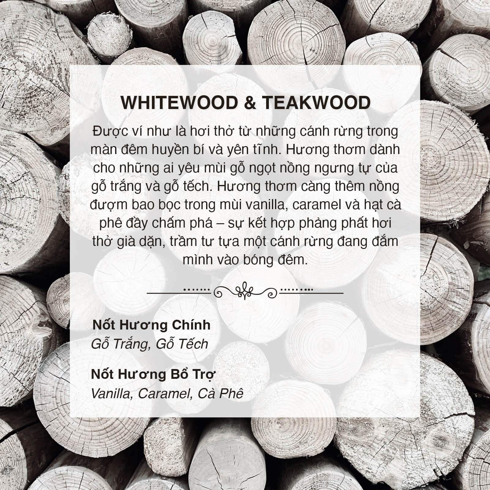 Tinh Dầu Thơm Nomad Premium Fragrance Oil - Whitewood & Teakwood