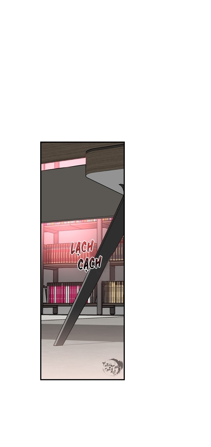 hoa ly hổ chapter 32 20