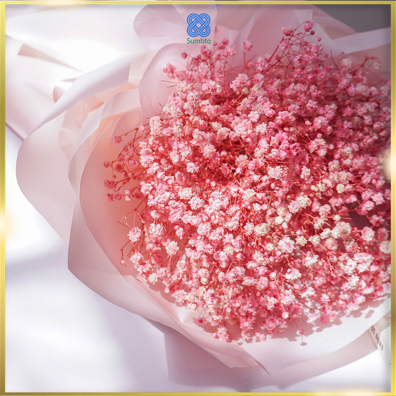 Hoa baby khô  Pink color baby’s breath bouquet