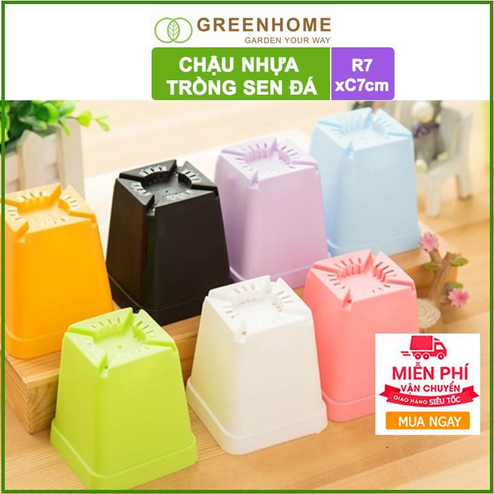 Bộ 5 Chậu nhựa trồng sen đá ,xương rồng, 7x7cm, màu sắc hiện đại