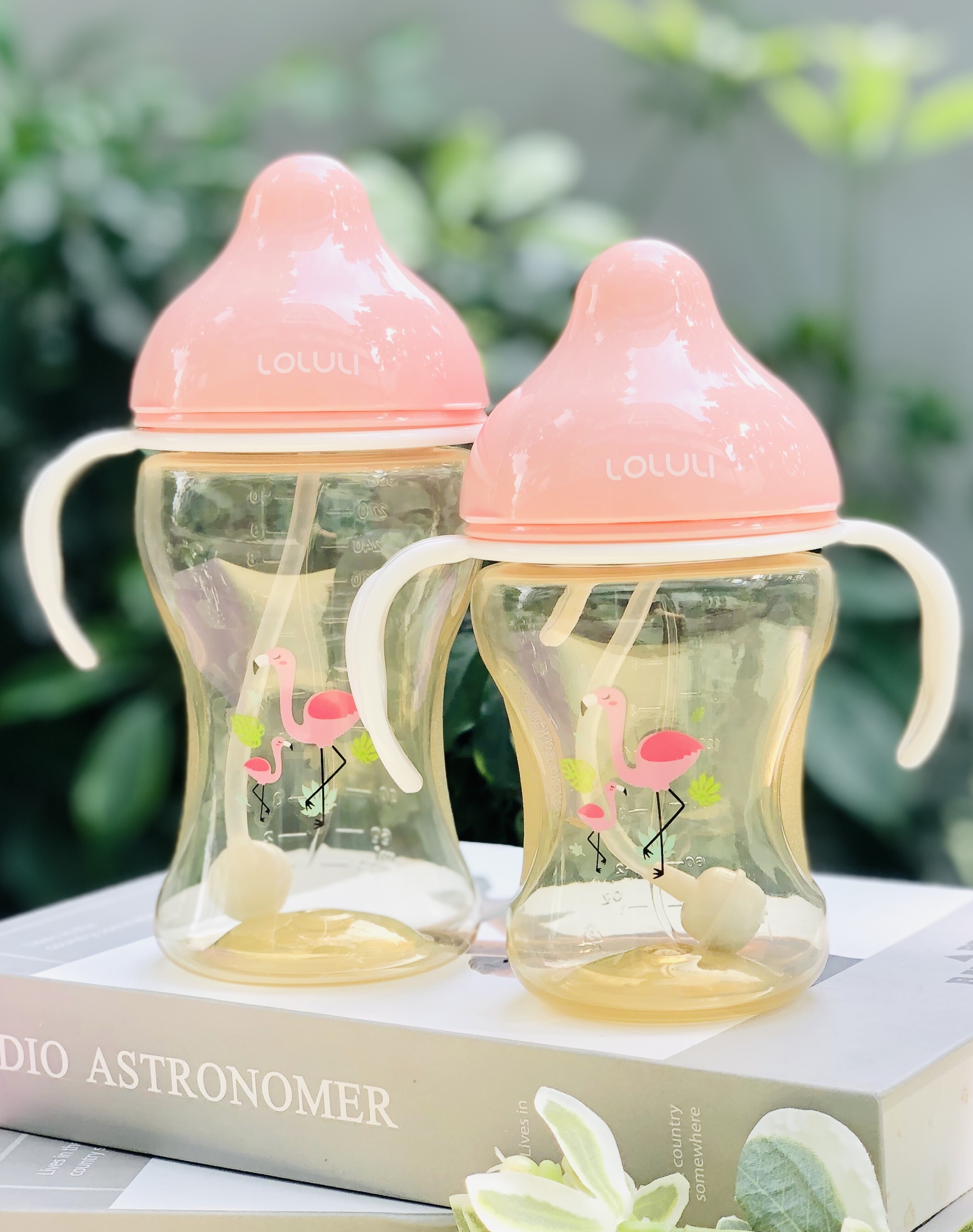 Bình Sữa Loluli PP Cổ Rộng Chống Sặc Cho Bé Chính Hãng - 210ml