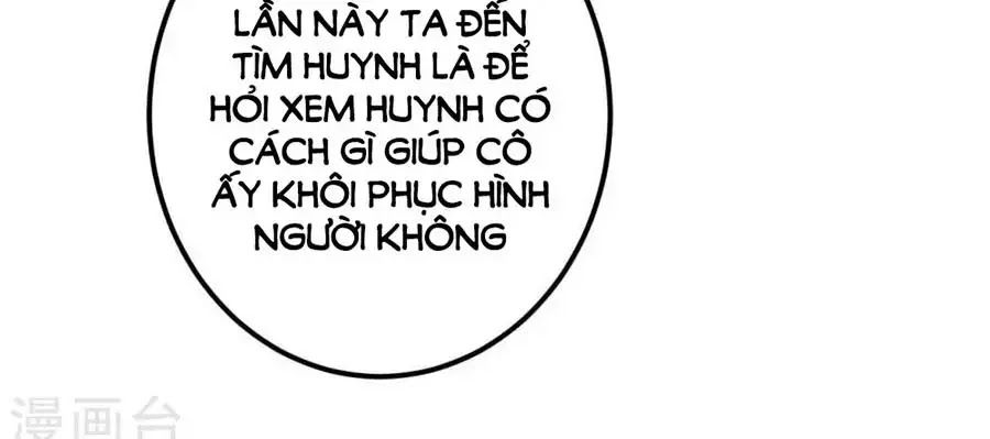 từ đây vương gia không thượng triều sớm chapter 88 17