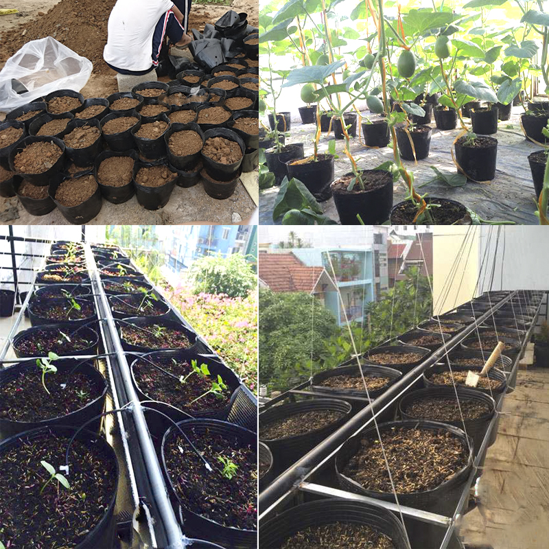 Sỉ 500 Chậu nhựa C9.A 21.5x17.5cm trồng cây ăn trái và hoabền 10 năm -77120