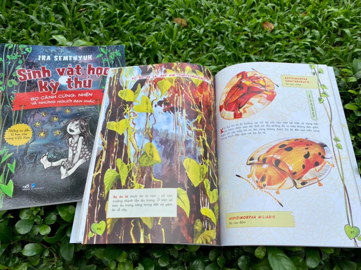 Sinh Vật Học Kỳ Thú - Những Cư Dân Tí Hon Của Rừng Việt Nam - Bọ Cánh Cứng, Nhện Và Những Người Bạn Khác