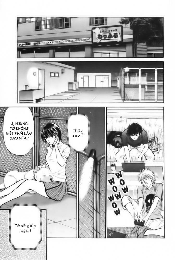 cô nàng yêu chó chapter 27 7