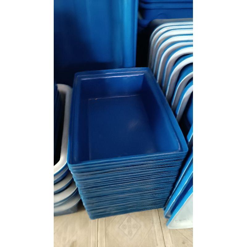 Tank nhựa chữ nhật nuôi cá