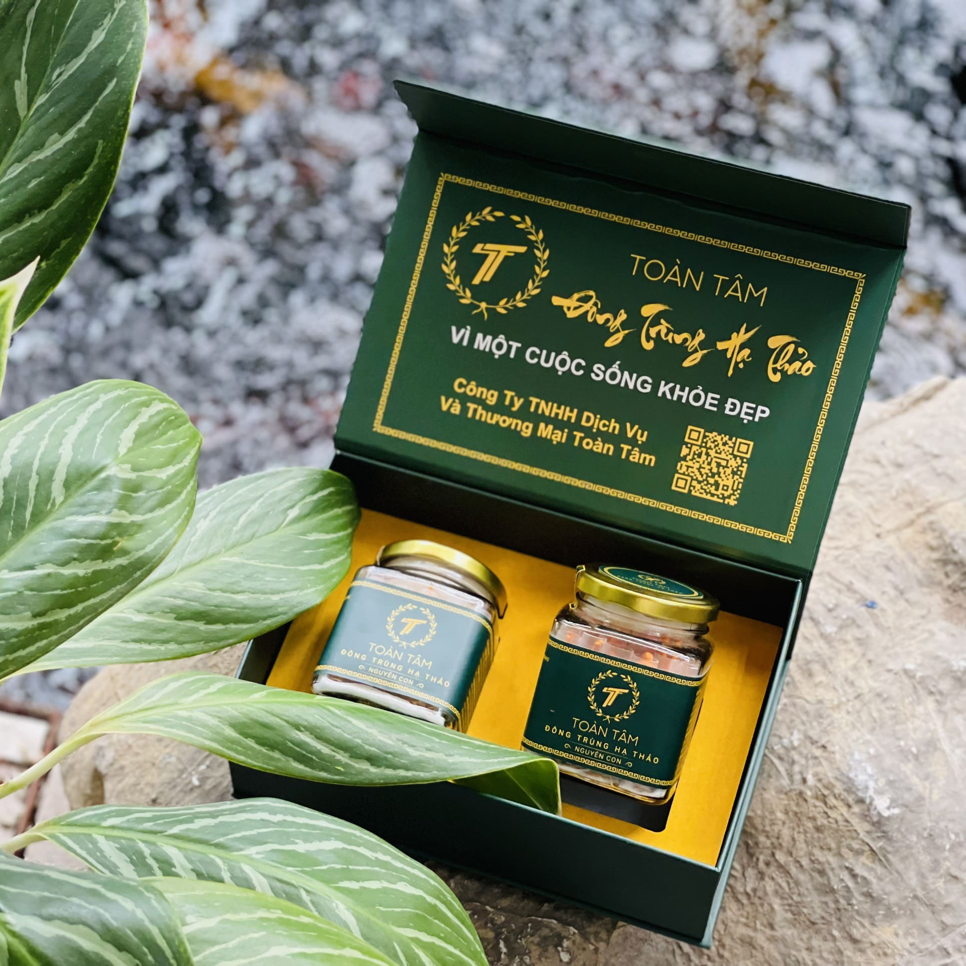 ĐÔNG TRÙNG HẠ THẢO NGUYÊN CON NHỘNG TẰM SẤY TOÀN TÂM