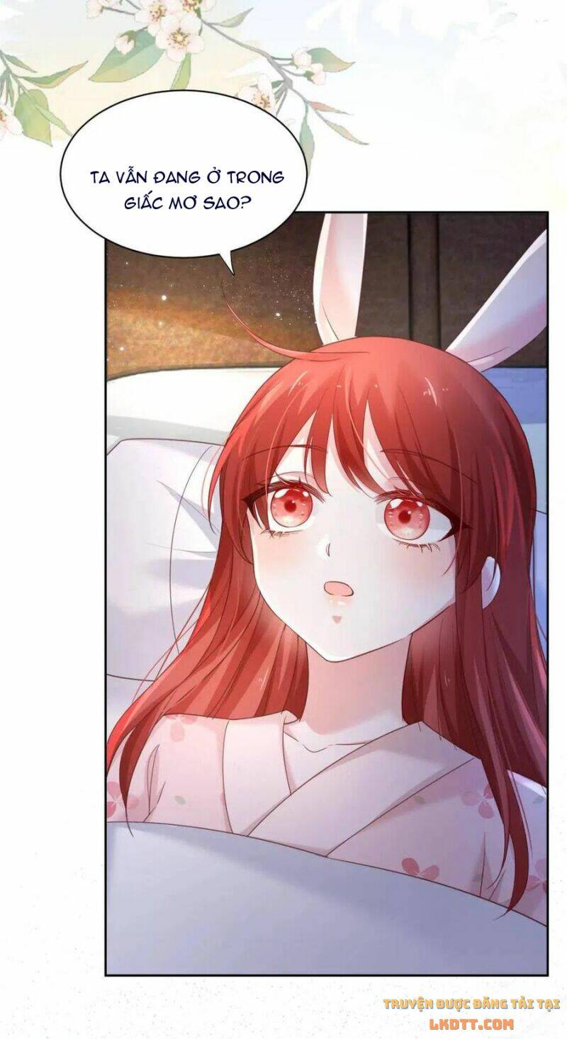 hắc hóa nam chính trực tuyến nuôi thỏ chapter 59 5