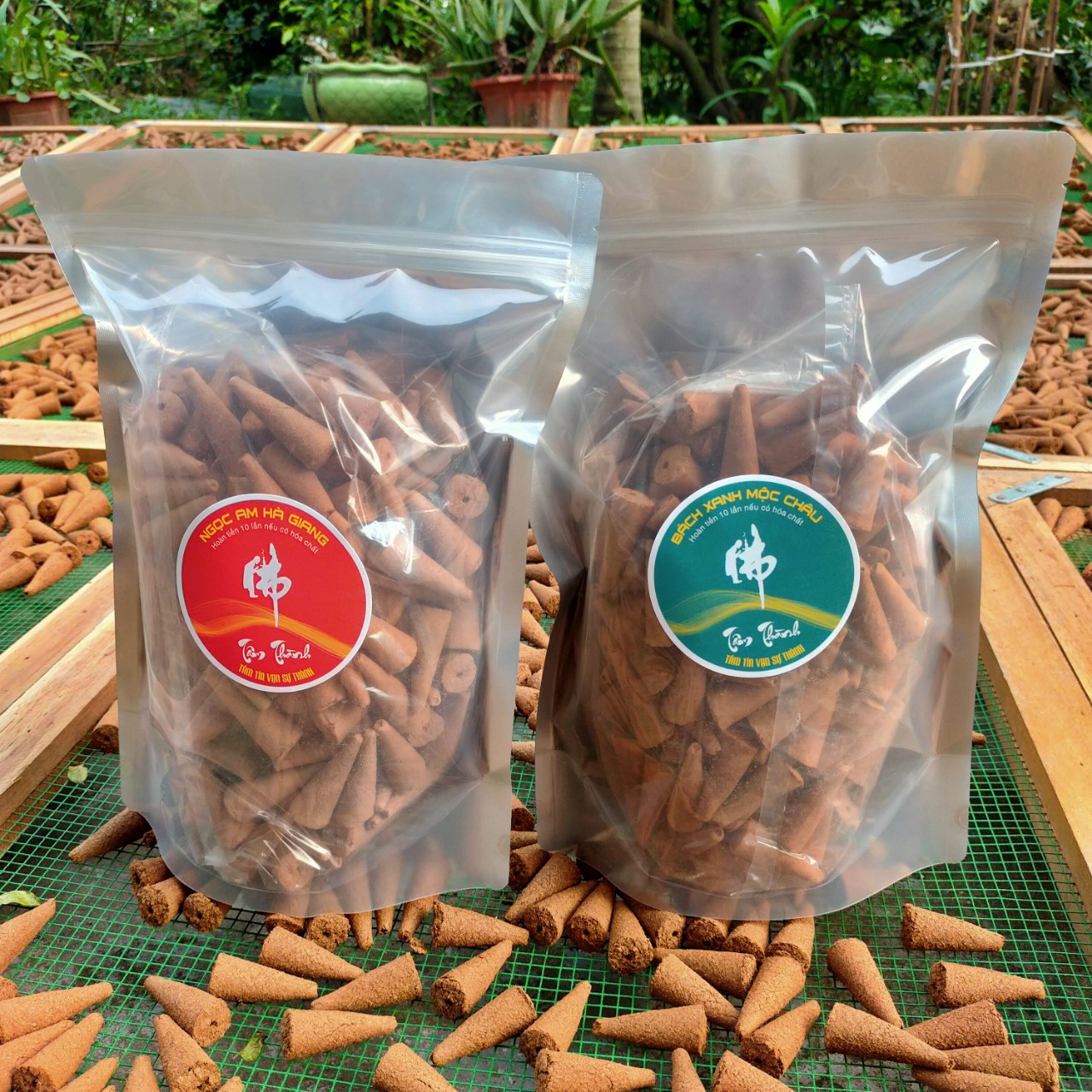 Nụ Hương Bách_Xanh_Nụ Ngọc_Am_Đậm Tinh Dầu_Cực Thơm, Khói Ngược_Cam Kết 100% Không Hóa Chất_Nụ Gỗ Bách_Xanh