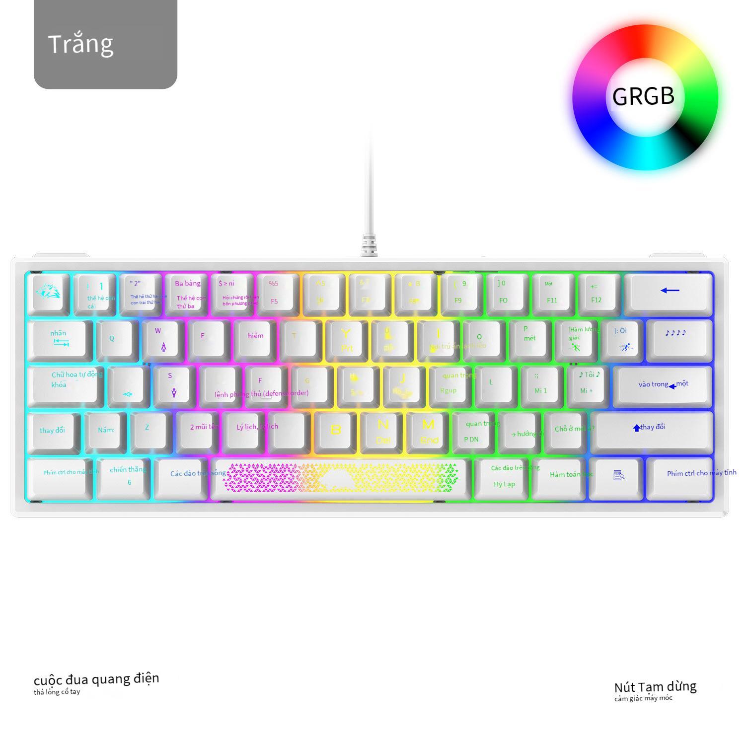 Bàn phím chơi game sói miễn phí thuận lợi nhất Bàn phím chơi game K61RGB ánh sáng RGB bàn phím mini tỷ lệ phần trăm 60 phần trăm bàn phím máy tính xách tay chơi game chơi game