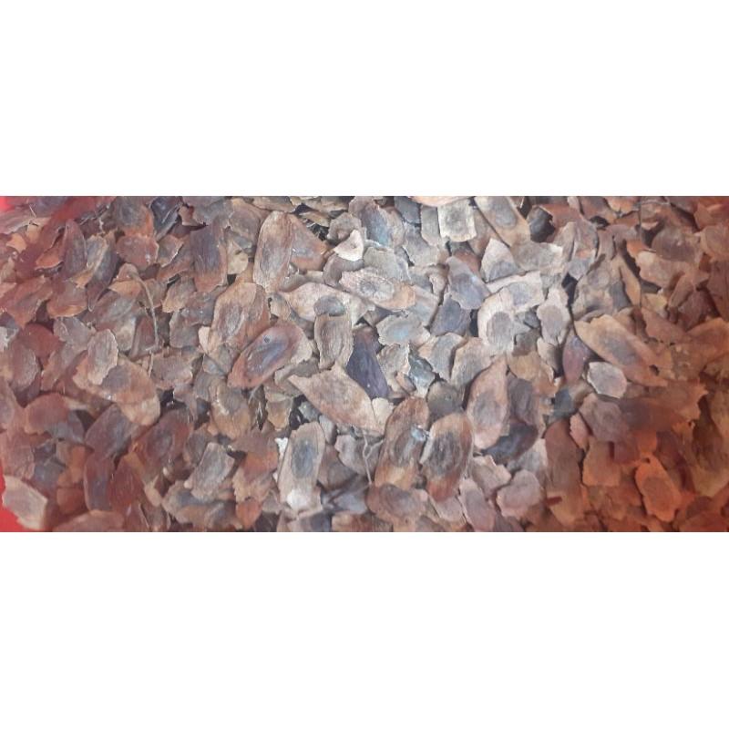 500gram sưa đỏ giống