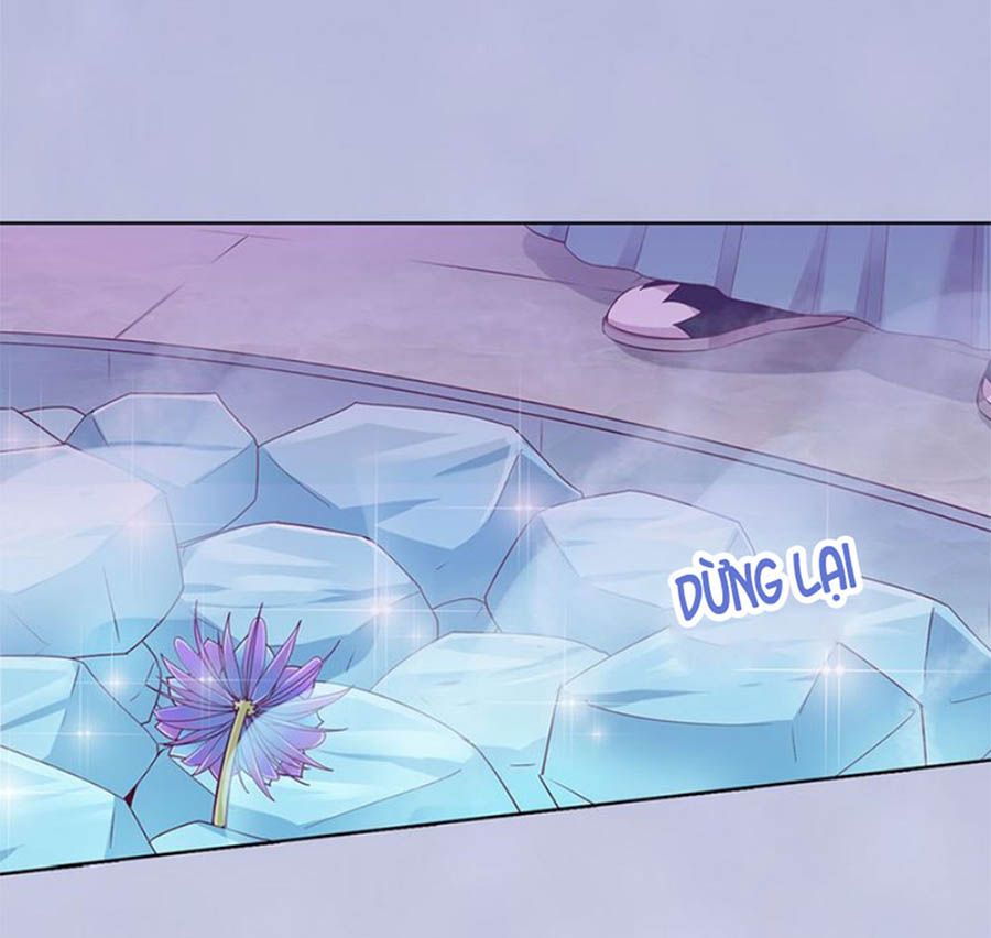 mỹ nhân già rồi chapter 62 16