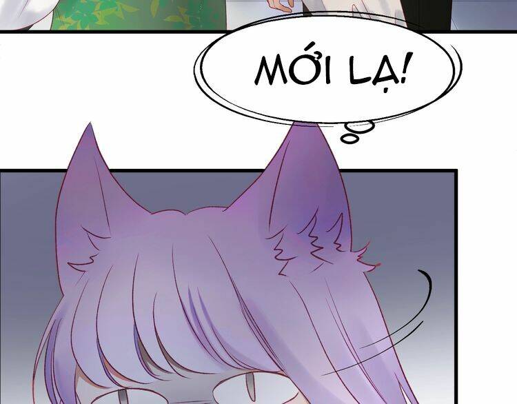 lượm được một tiểu hồ ly phần 3 chapter 3 3