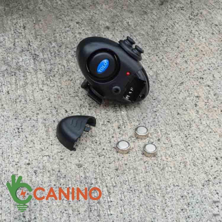 Báo động cá cắn câu v2