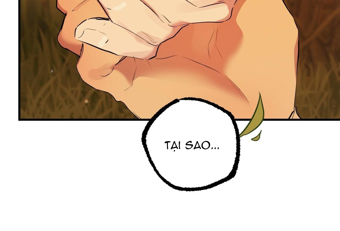 đàn thỏ của habibi chapter 24 182