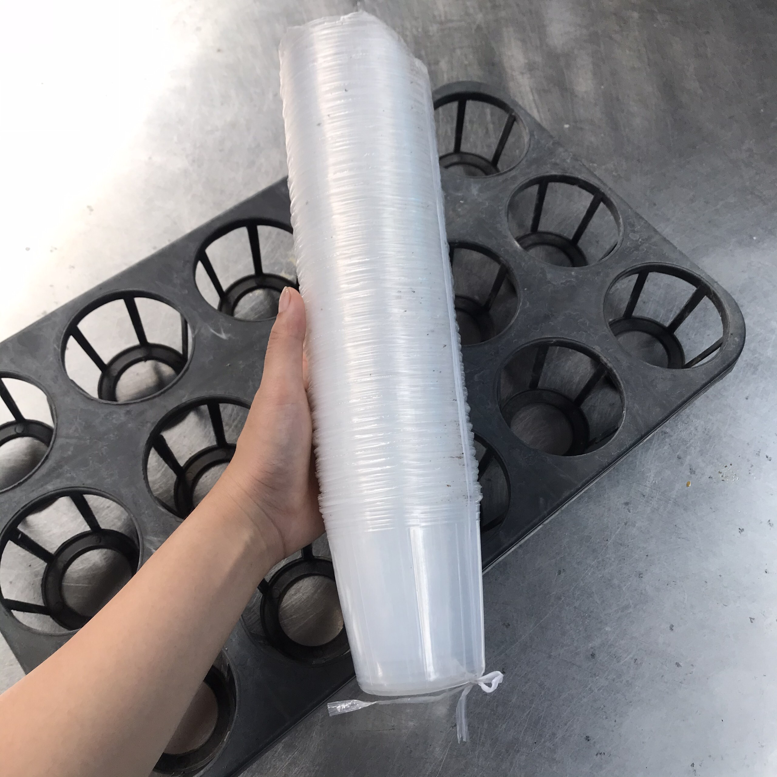 Chậu nhựa dẻo trồng lan hồ điệp 2.5 inch