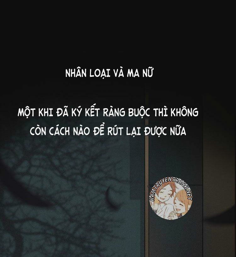 bí mật bóng đêm chapter 1 12