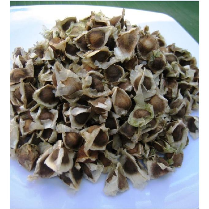Hạt giống cây chùm ngây F1 CT20 - Gói 10 hạt