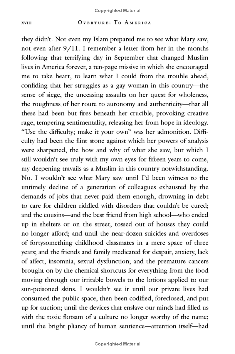 Homeland Elegies