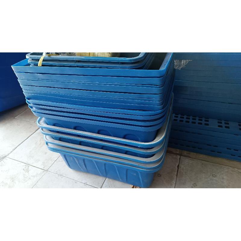 Tank nhựa chữ nhật nuôi cá