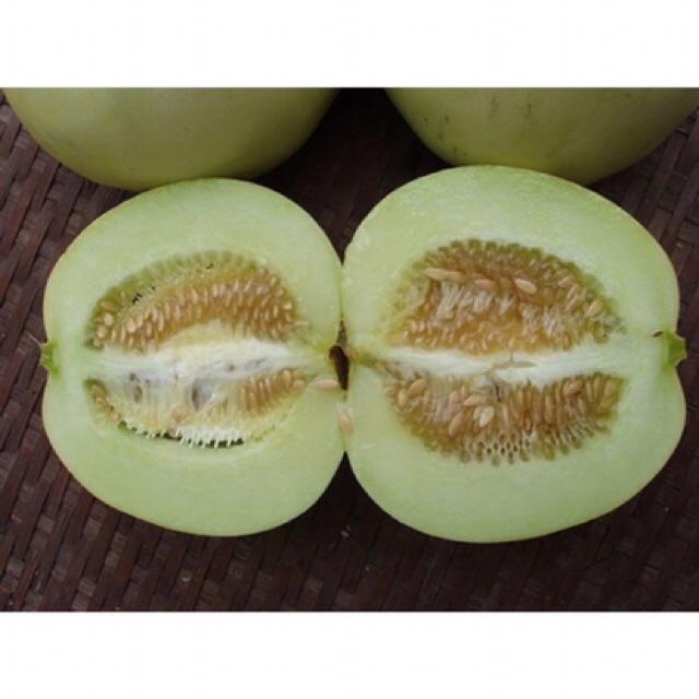 Hạt giống dưa lê siêu ngọt gói 1g