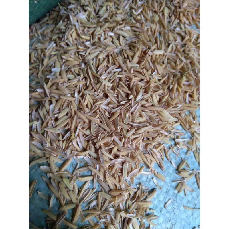 Vỏ Trấu sạch - giá thể trồng cây-trộn đất tơi xốp-dải chuồng gà vịt 300g