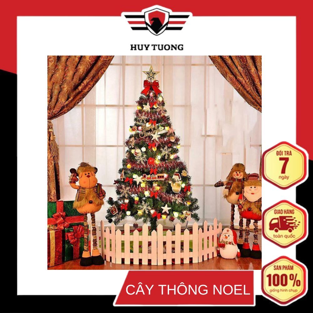 Cây thông Noel